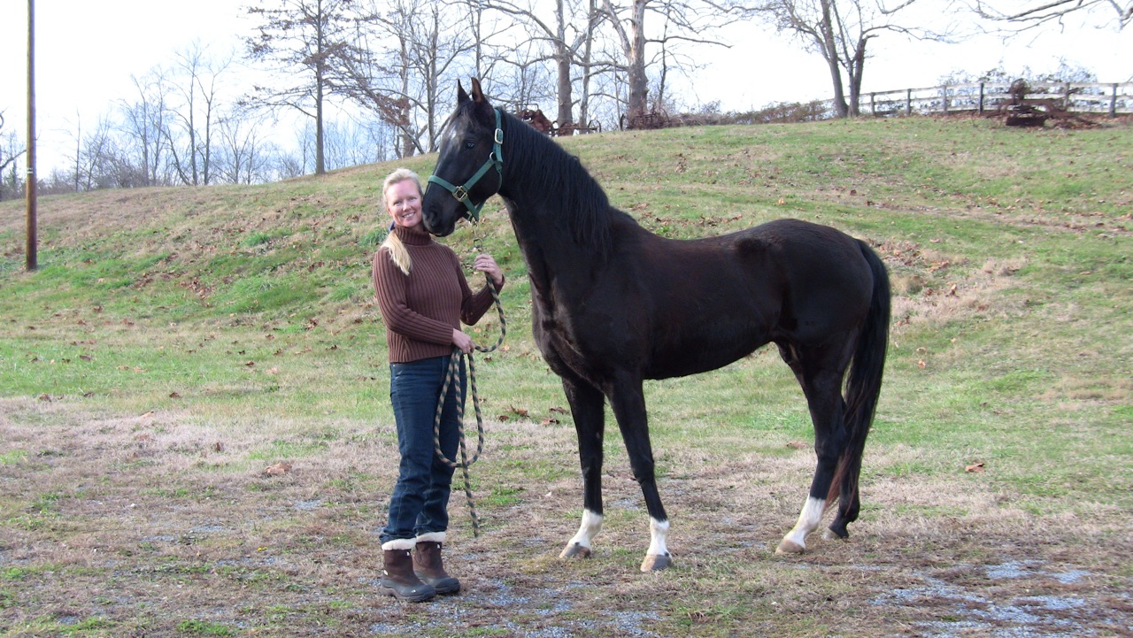 Far Field Farm